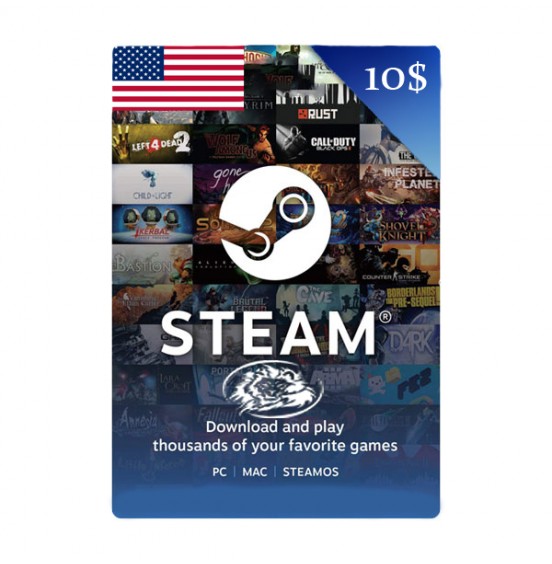 STEAM (USA) 10$